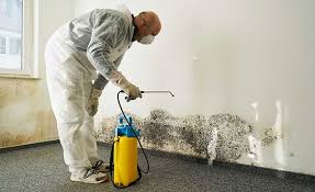 Best Forensic Mold Investigation  in Golden Beach, MD